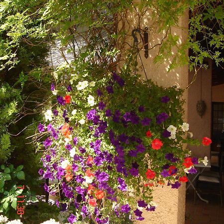 Hotel Mistral Mas-Blanc-des-Alpilles Exterior photo